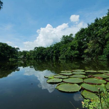 Los Chocuacos. Guácimo Eksteriør bilde